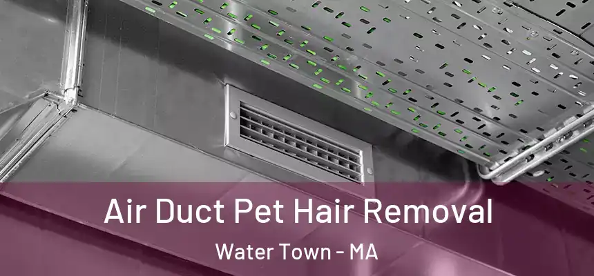 Air Duct Pet Hair Removal Water Town - MA