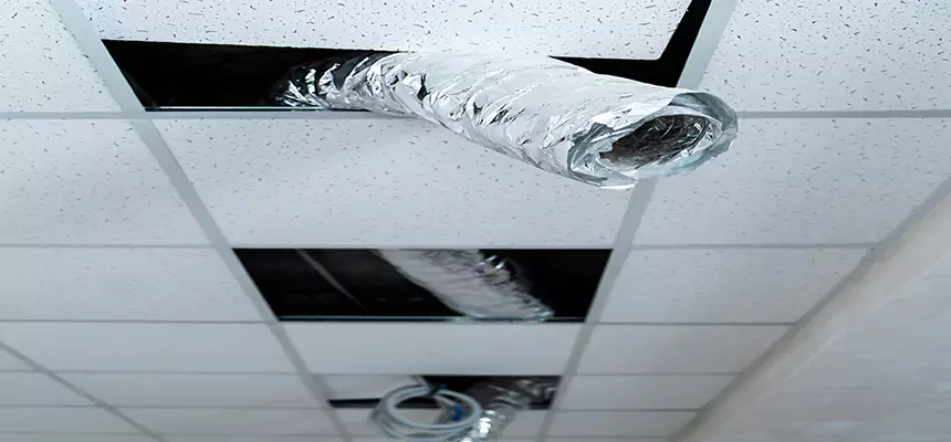 Our Air Duct Pet Hair Removal Services in Water Town, MA