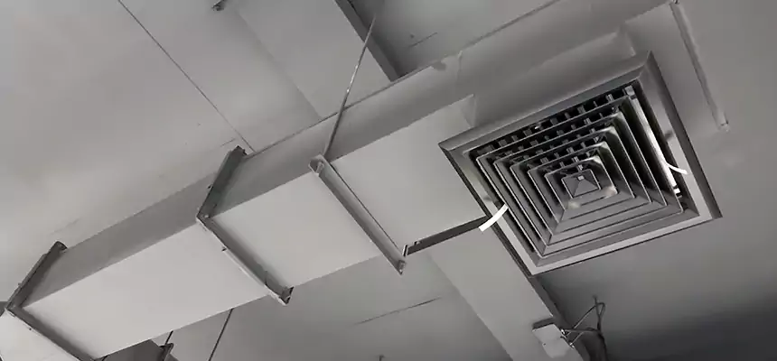 Our Rodent Droppings In Vents Services in Water Town, MA