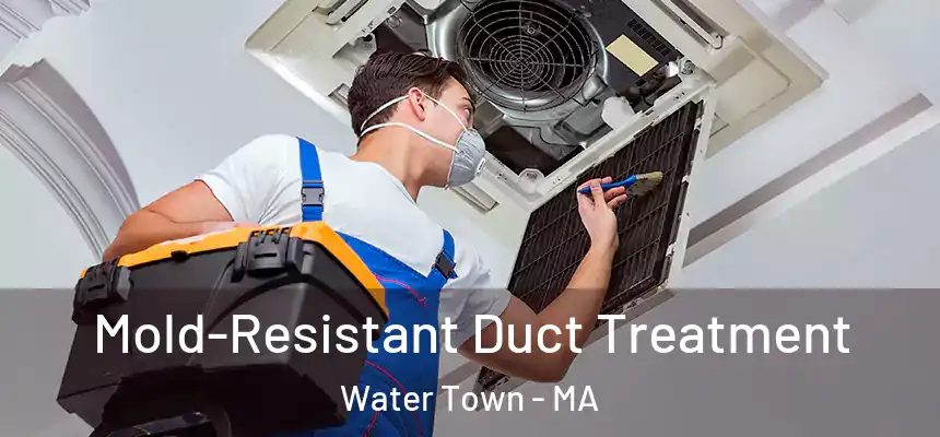  Mold-Resistant Duct Treatment Water Town - MA
