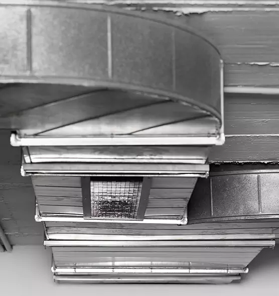 Professional Air Duct Pest Removal in Water Town, MA