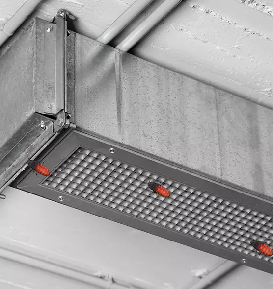 Affordable Insect Removal from Air Ducts in Water Town, MA