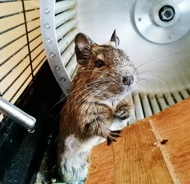 Why Homeowners & Businesses Trust Us Water Town, MA